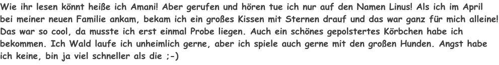 Wie ihr lesen könnt heiße ich Amani! Aber gerufen und hören tue ich nur auf den Namen Linus! Als ich im April bei meiner neuen Familie ankam, bekam ich ein großes Kissen mit Sternen drauf und das war ganz für mich alleine! Das war so cool, da musste ich erst einmal Probe liegen. Auch ein schönes gepolstertes Körbchen habe ich bekommen. Ich Wald laufe ich unheimlich gerne, aber ich spiele auch gerne mit den großen Hunden. Angst habe ich keine, bin ja viel schneller als die ;-)