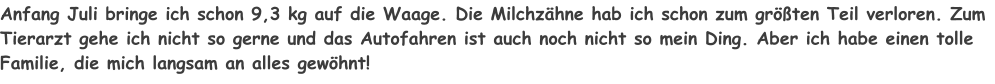 Anfang Juli bringe ich schon 9,3 kg auf die Waage. Die Milchzähne hab ich schon zum größten Teil verloren. Zum Tierarzt gehe ich nicht so gerne und das Autofahren ist auch noch nicht so mein Ding. Aber ich habe einen tolle Familie, die mich langsam an alles gewöhnt!