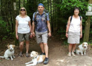 KW21 Abby,Sissi, Deeke, Dirk, Rosi und Ajula in der Lochbachklamm