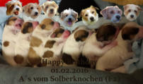 KW05 A´s vom Solberknochen 01.02.16 Geburtstag