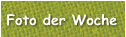 Foto der Woche