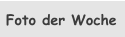 Foto der Woche
