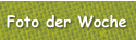 Foto der Woche