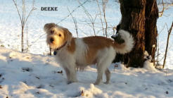 Deeke