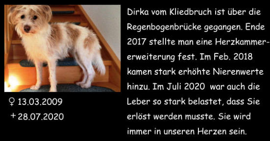 20200728 Dirka vom Kliedbruch