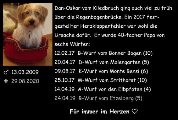 20200829 Dan-Oscar vom Kliedbruch