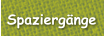 Spaziergänge